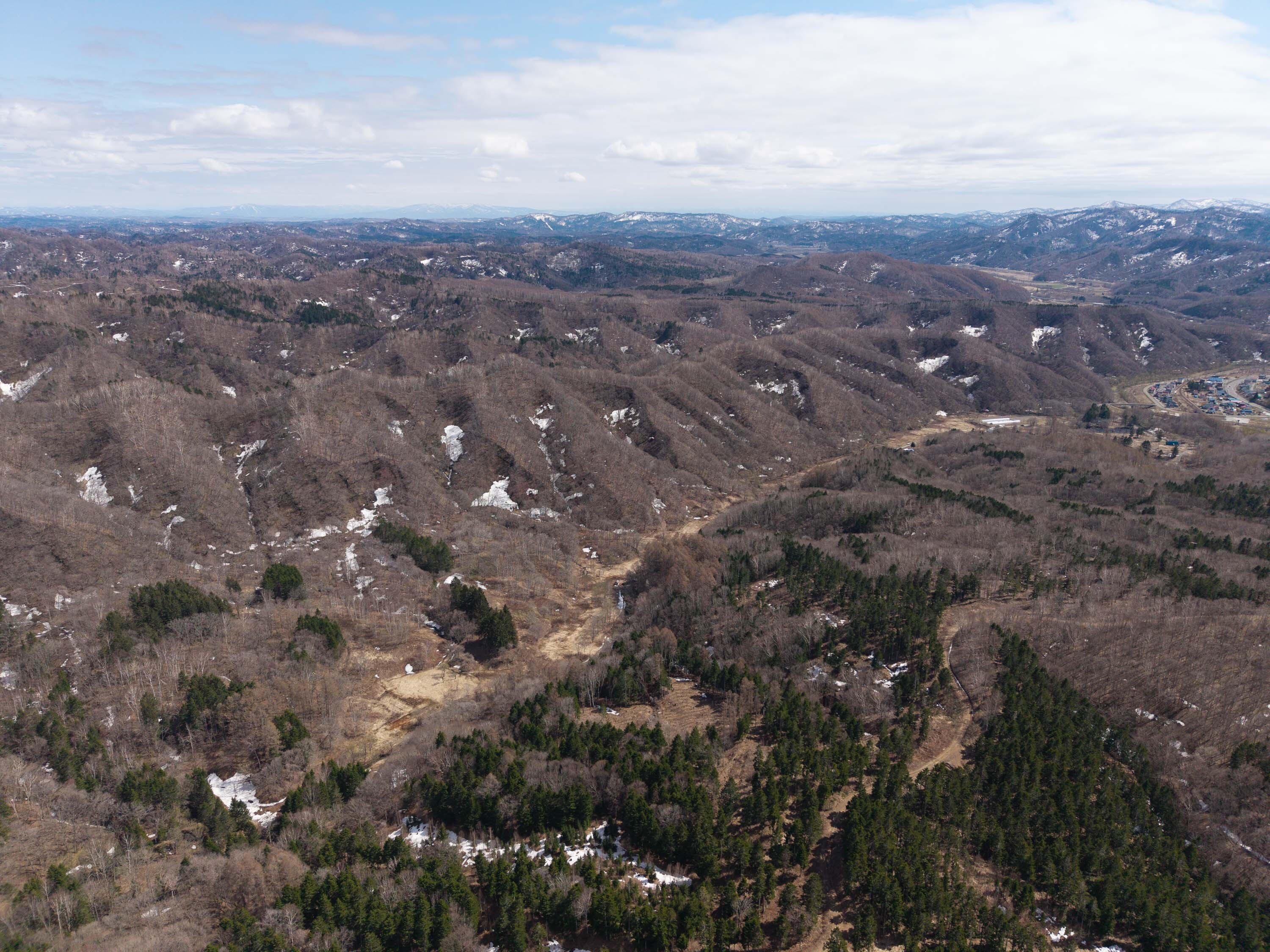 Pick09 GCP 250423 254 web 3000px