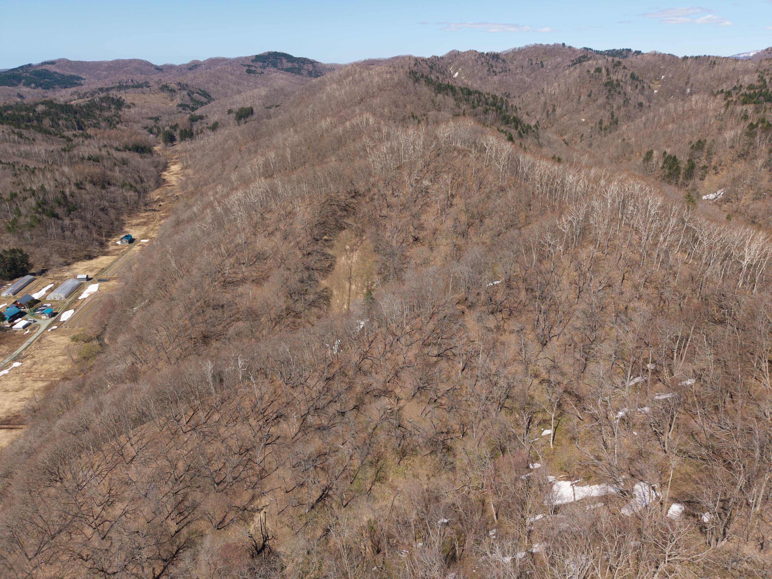 Pick12 GCP 250423 365 web 3000px