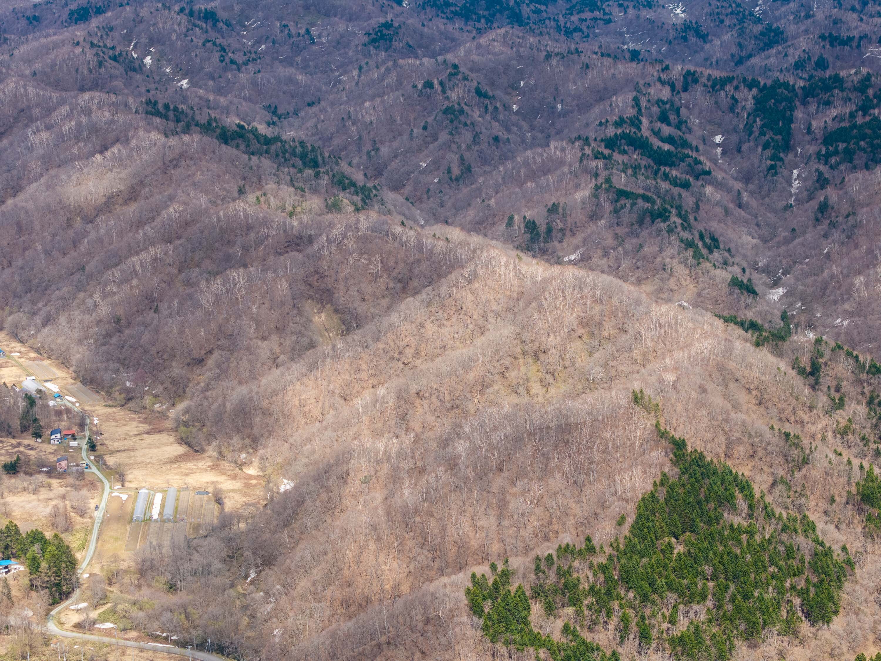 Pick13 GCP 250423 047 web 3000px