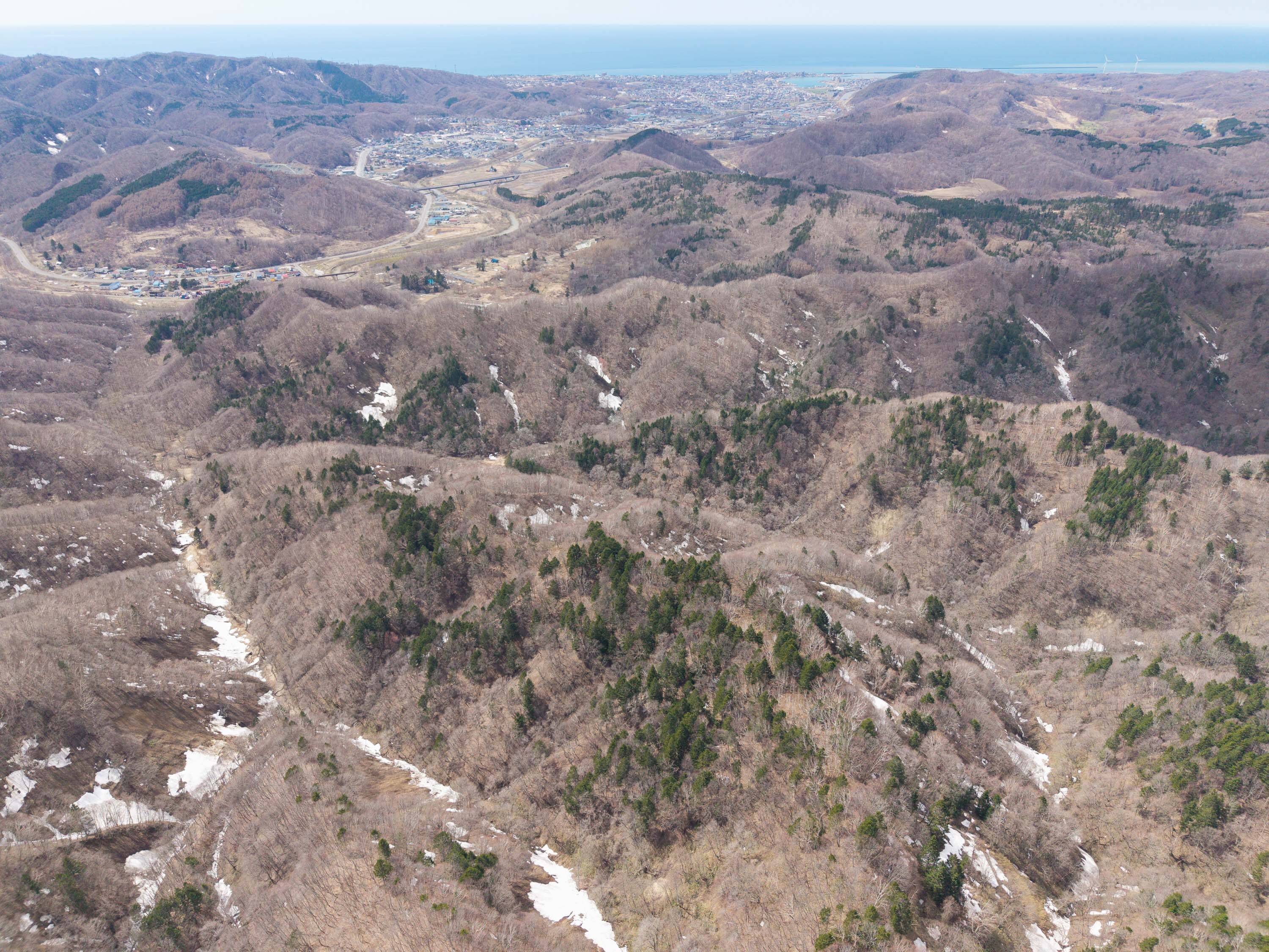 Pick14 GCP 250423 156 web 3000px