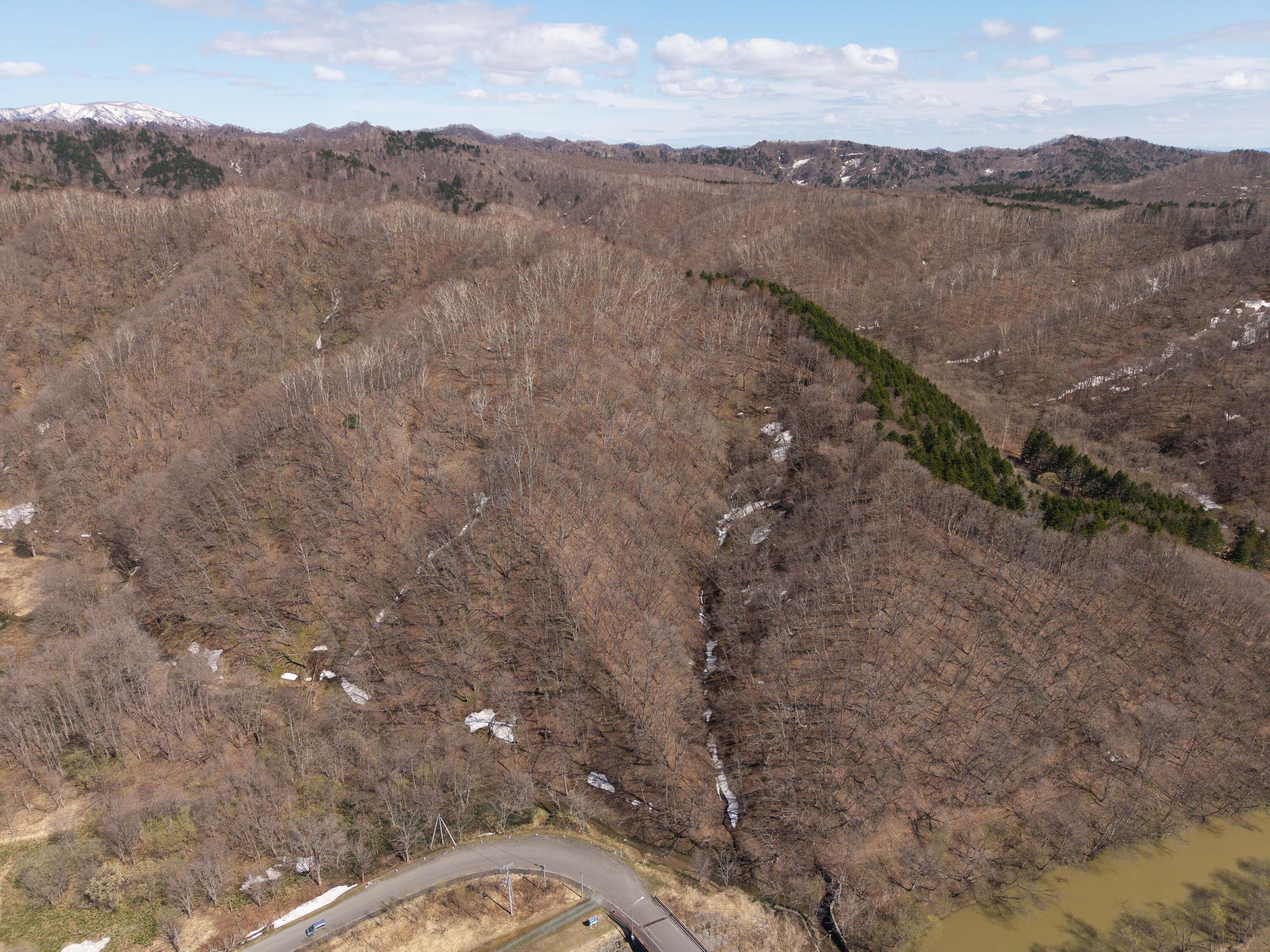 Pick15 GCP 250423 310 web 3000px