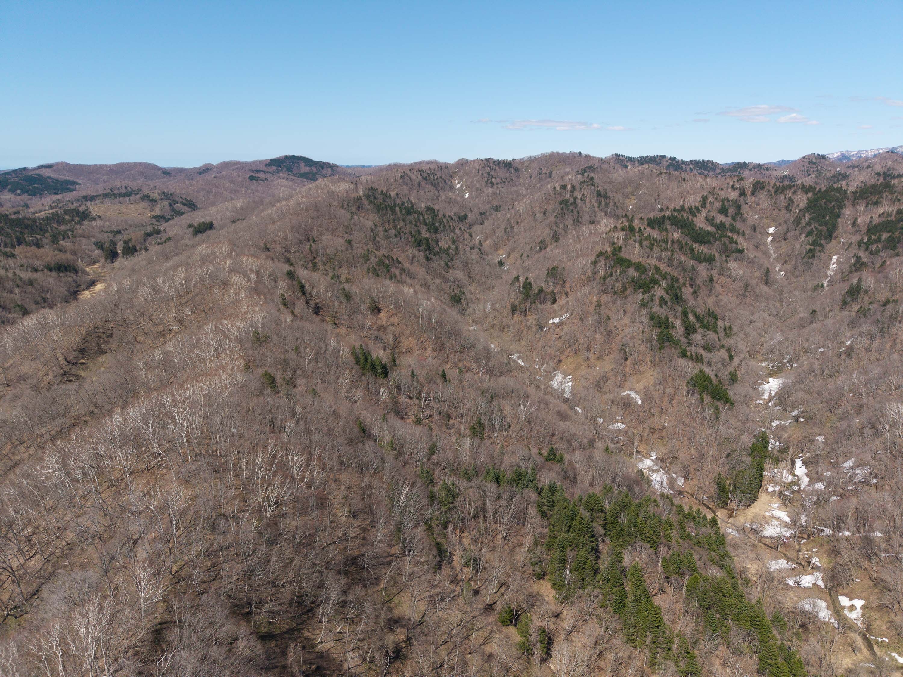 Pick17 GCP 250423 361 web 3000px