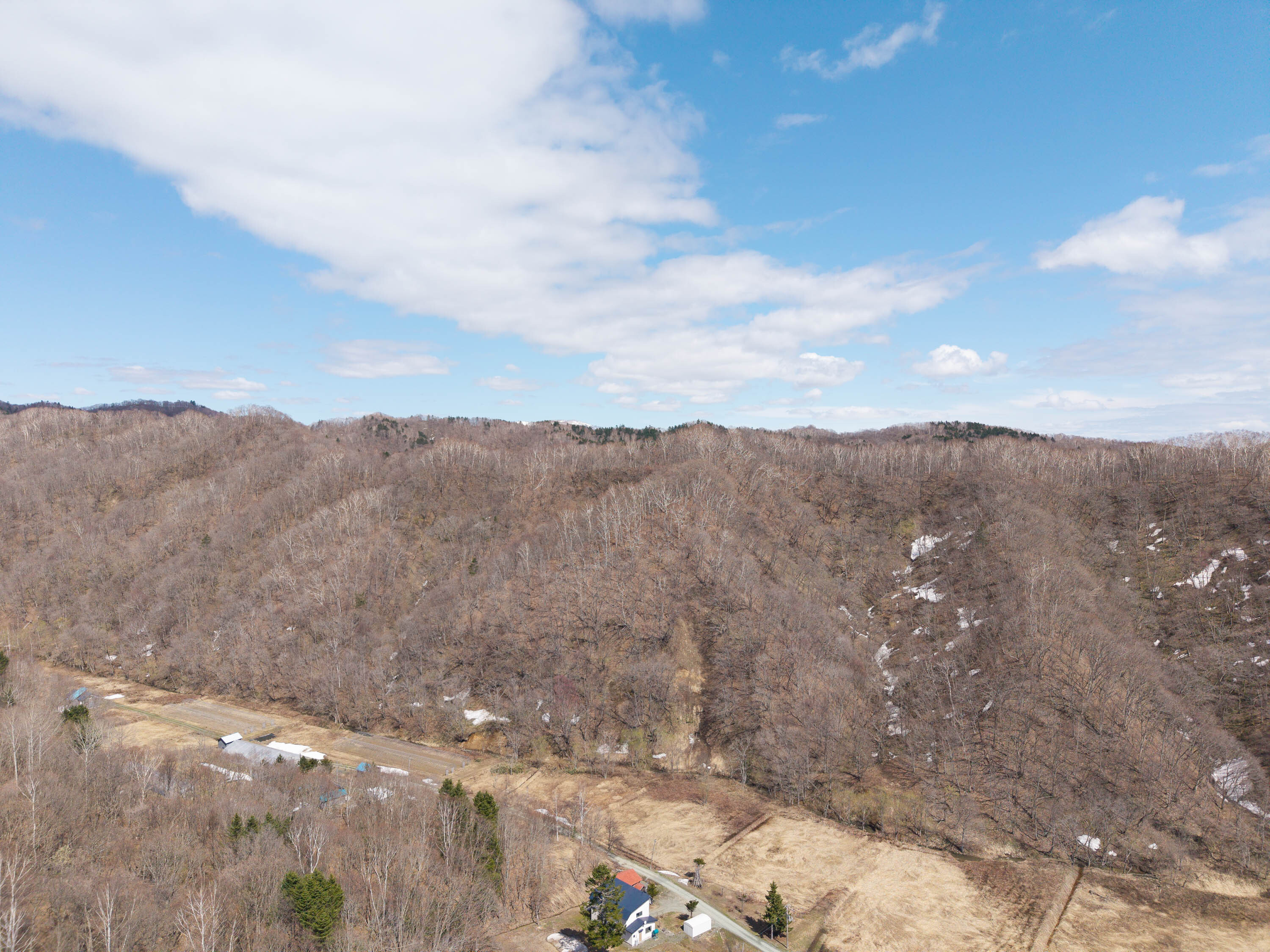 Pick19 GCP 250423 200 web 3000px