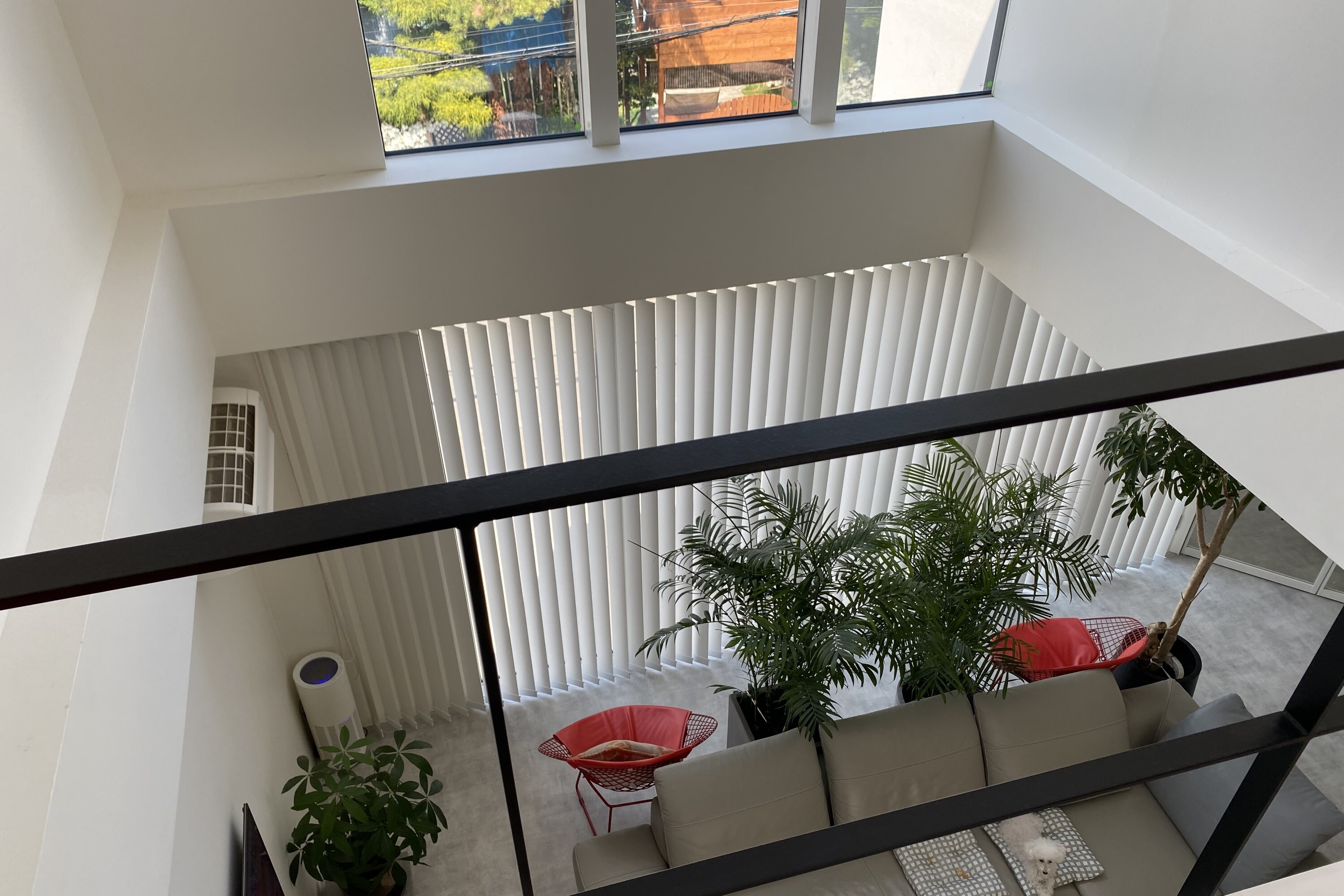 写真 2022 05 26 10 36 36