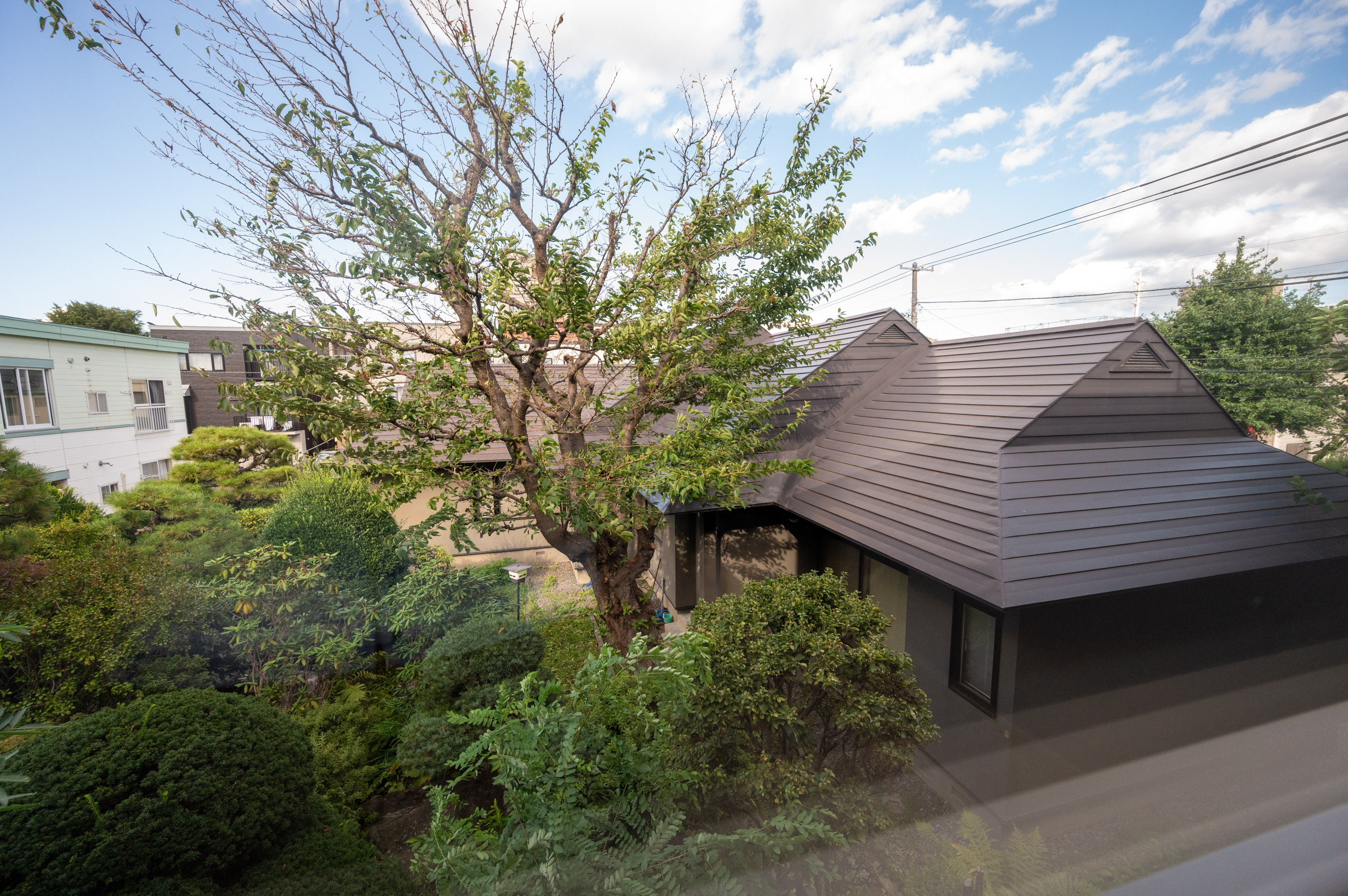 GCP 250903 096 web 3000px