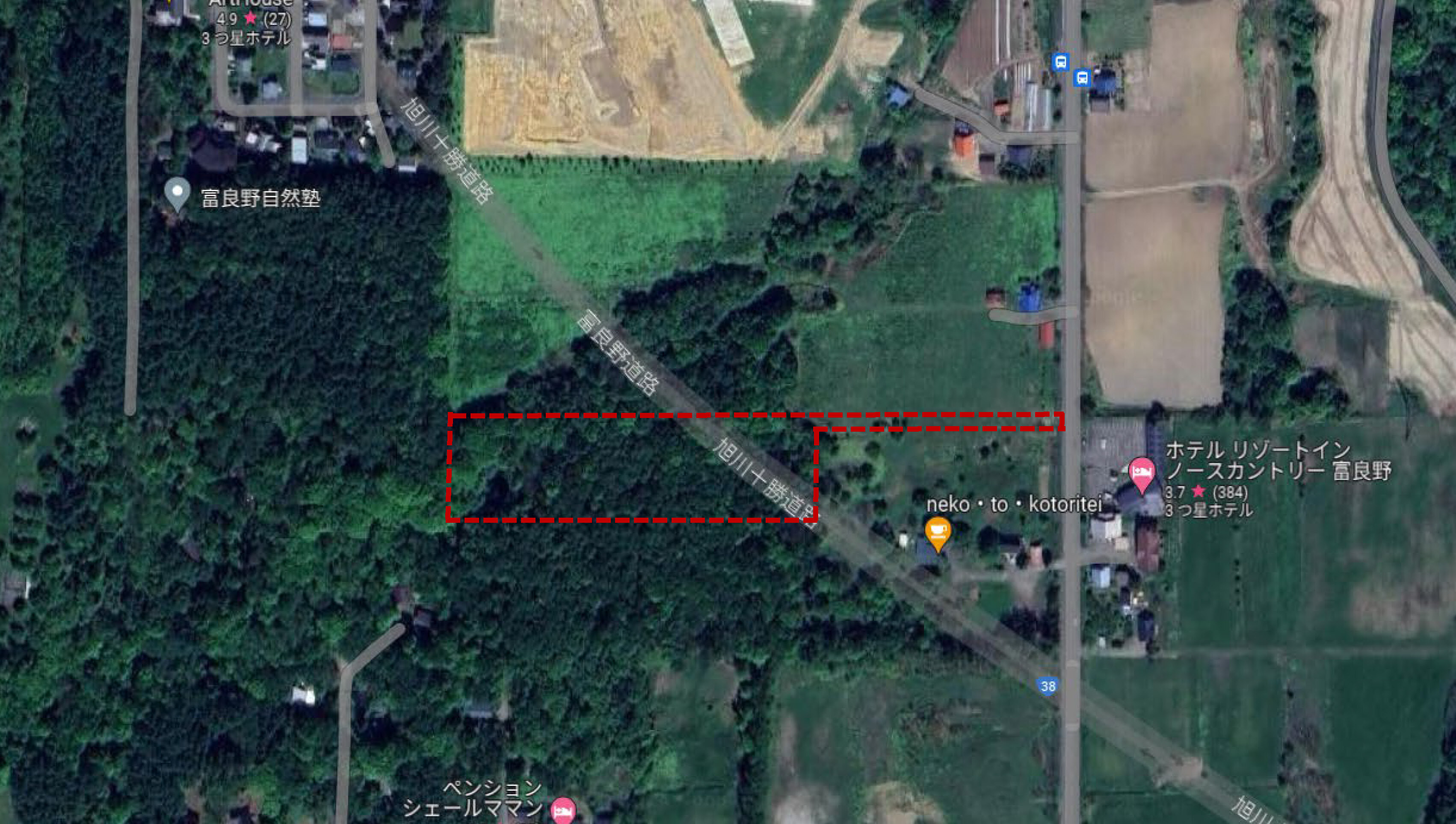 Goggle map Shimogoryo Forest 15000sqm