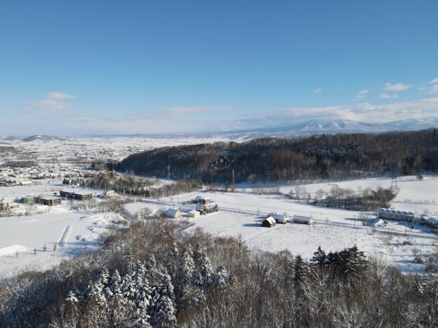 Dji fly 20221217 094202 462 1671237793859 photo