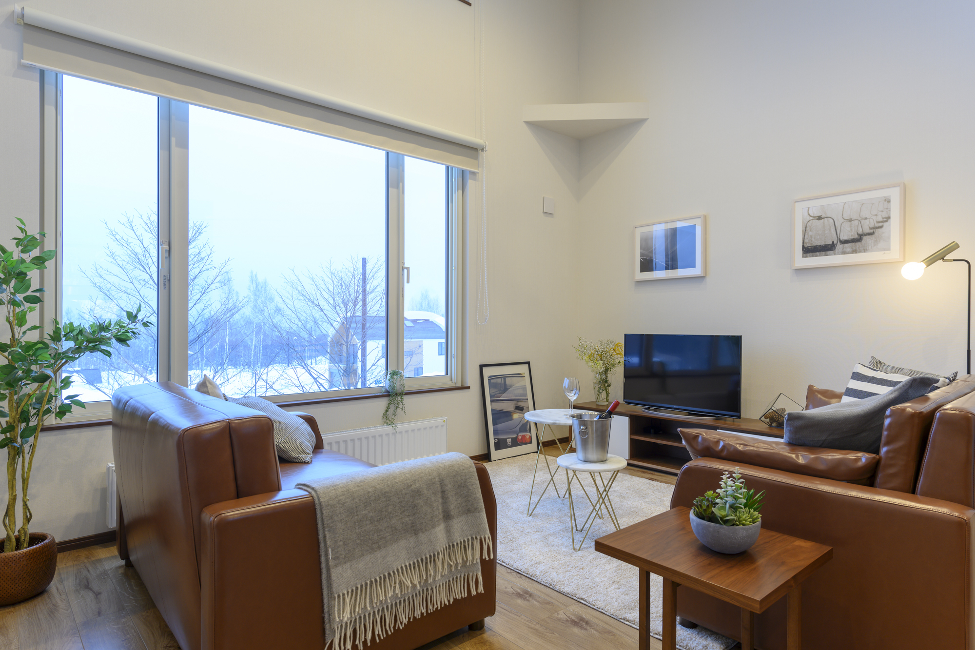 20190217 AJP AZ72681 Edit