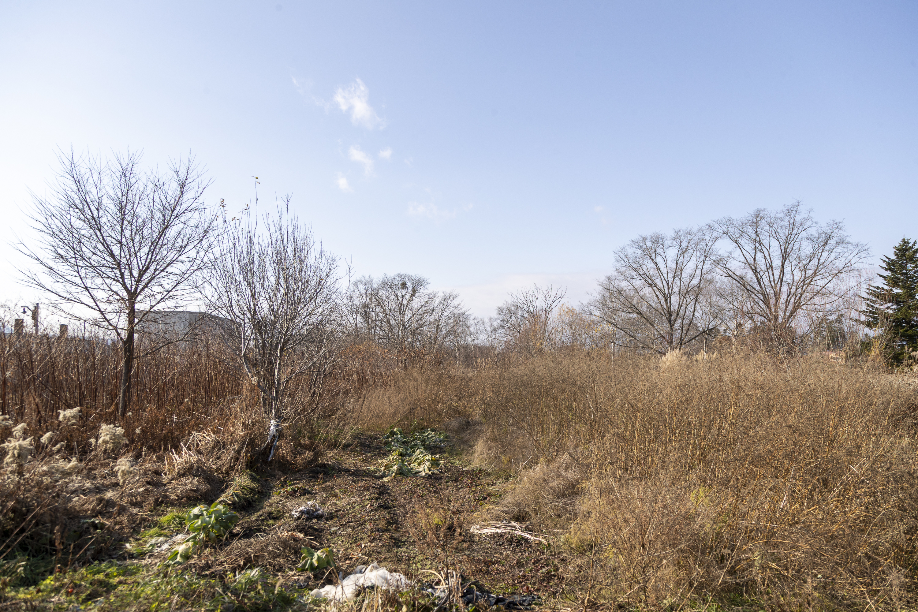 E7 I87592025 Niseko Photography DT