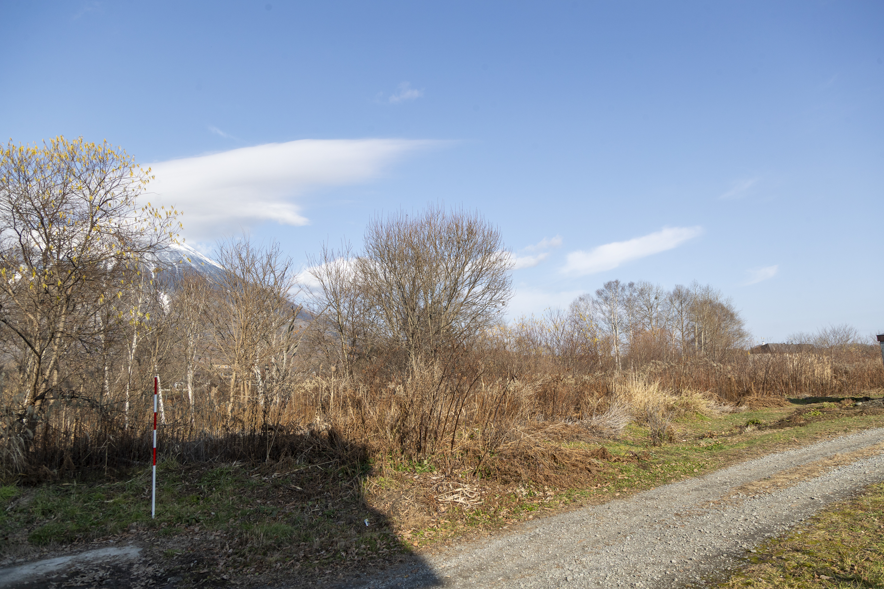 E7 I87602025 Niseko Photography DT