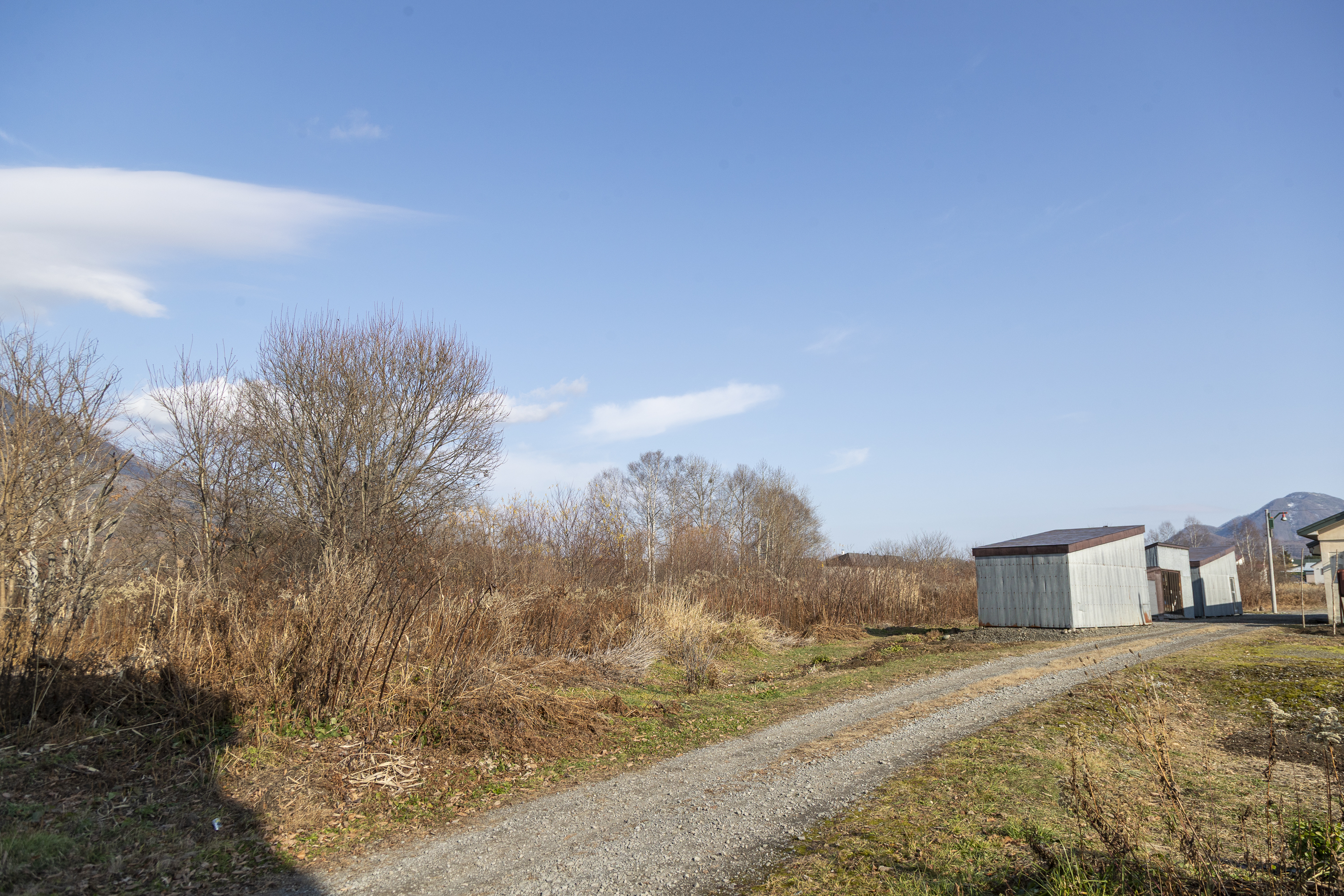 E7 I87612025 Niseko Photography DT