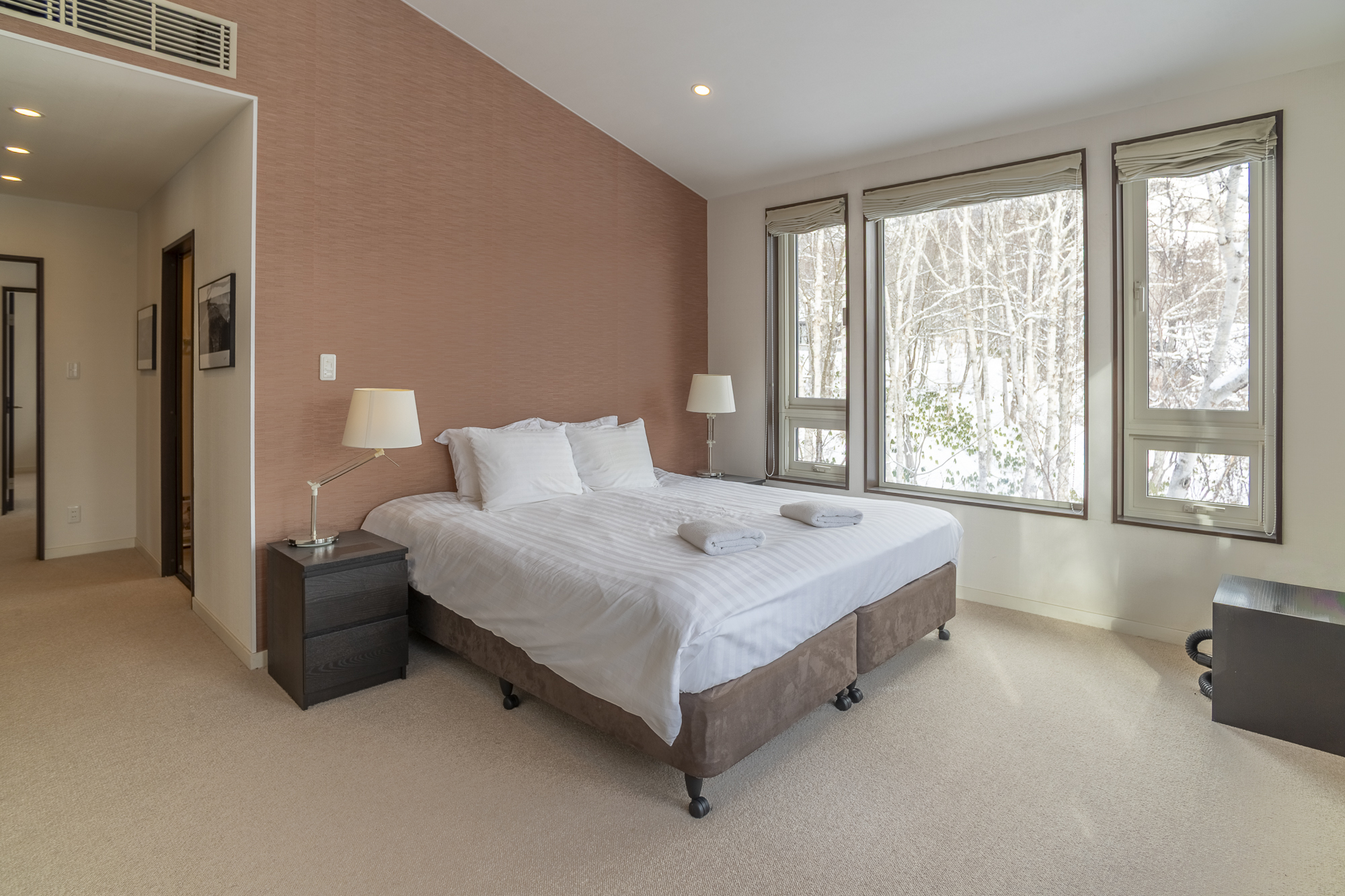 E7 I01972025 Niseko Photography DT HDR