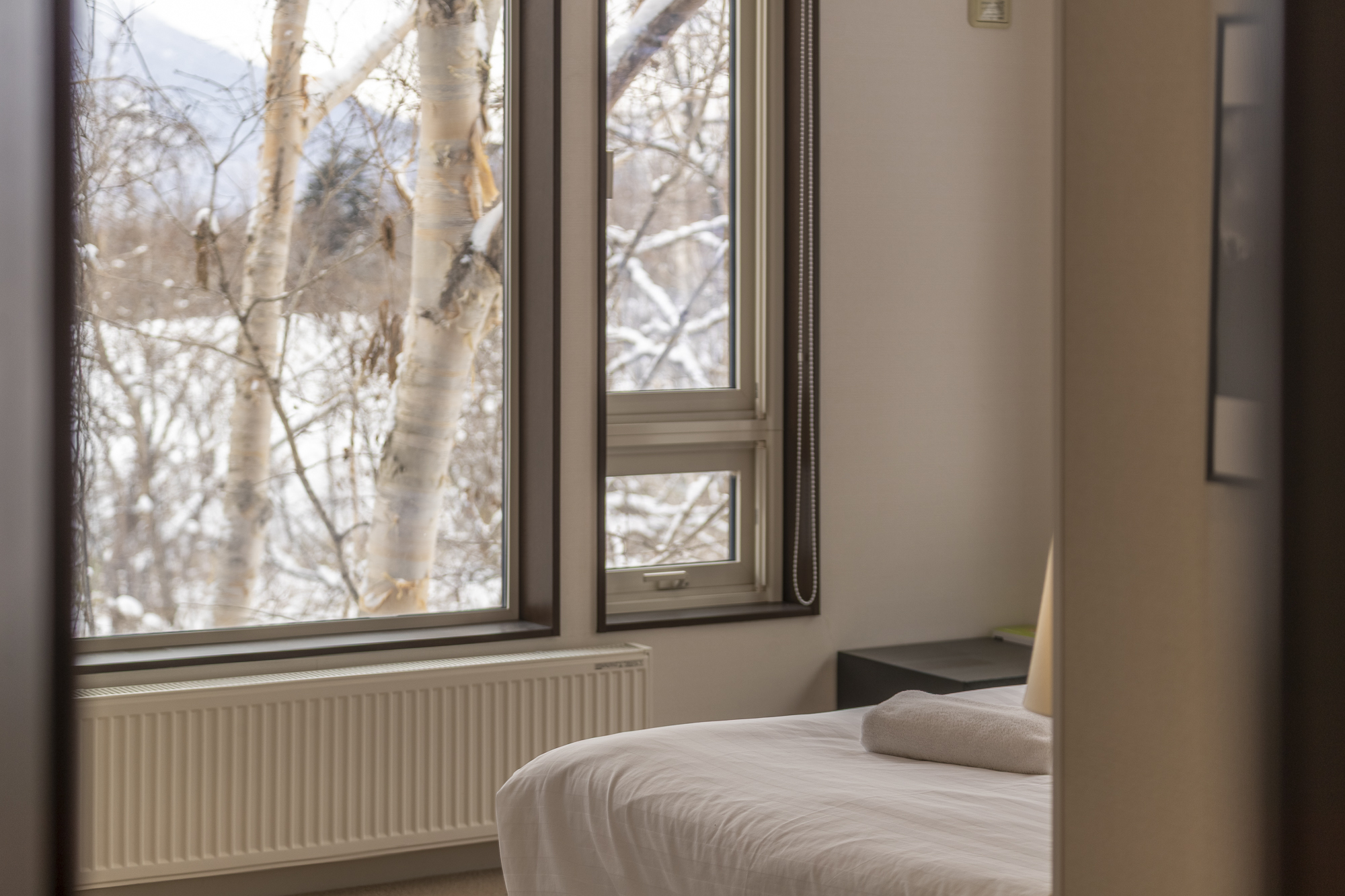 E7 I03382025 Niseko Photography DT HDR