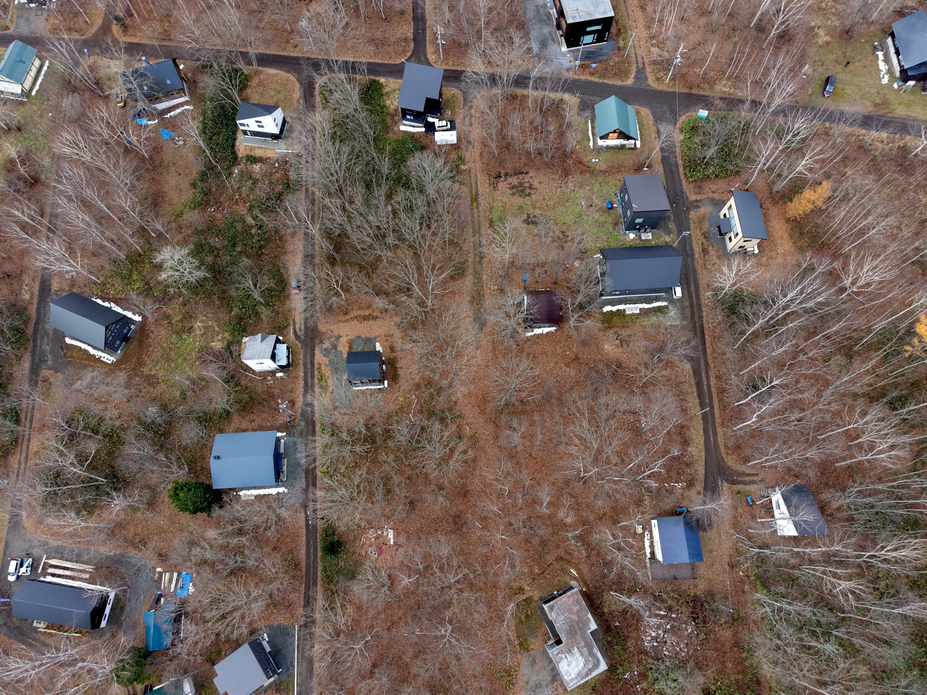 DJI 20251115094625 0069 D resized