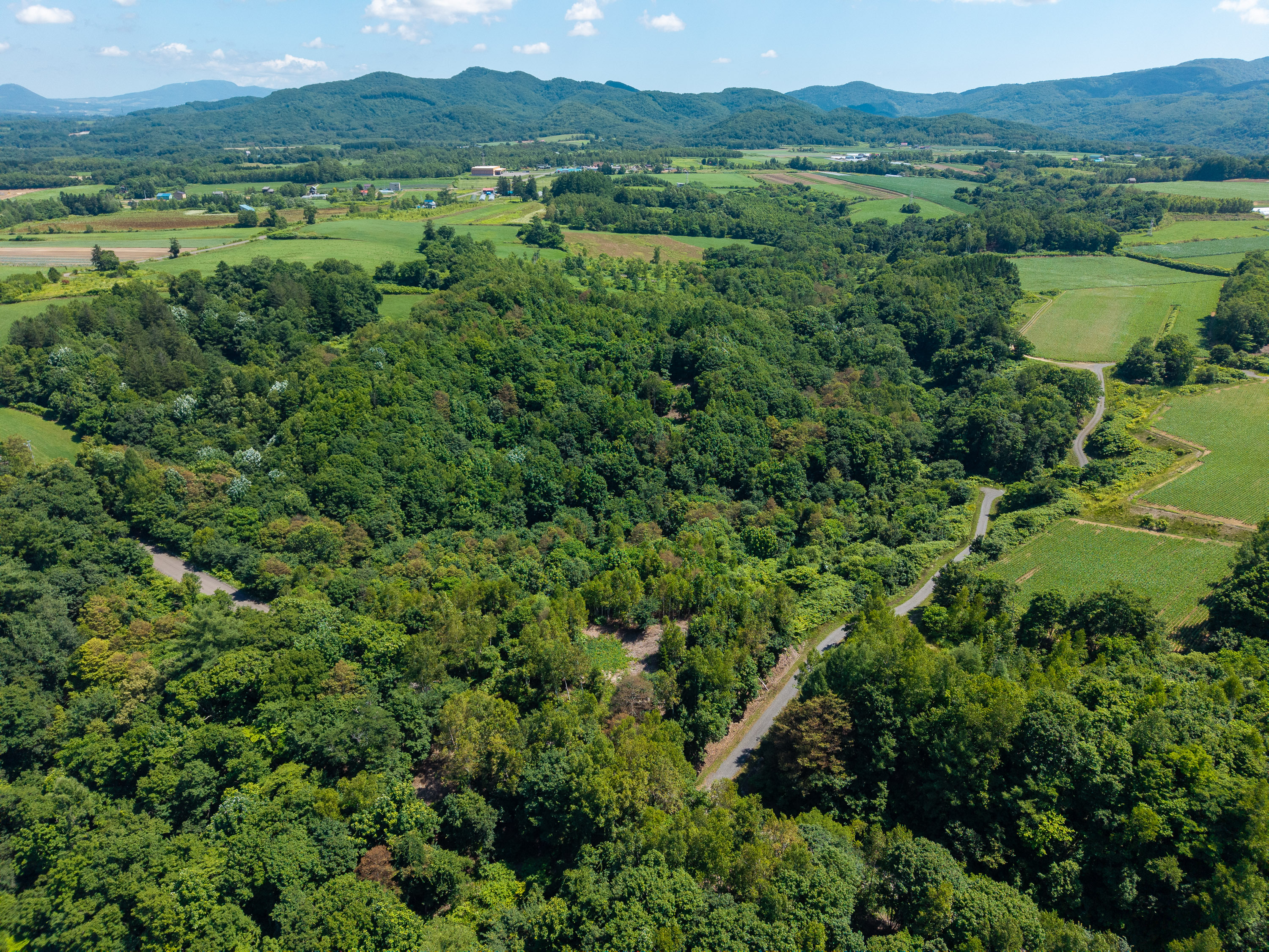 GCP 250724 150 web 3000px