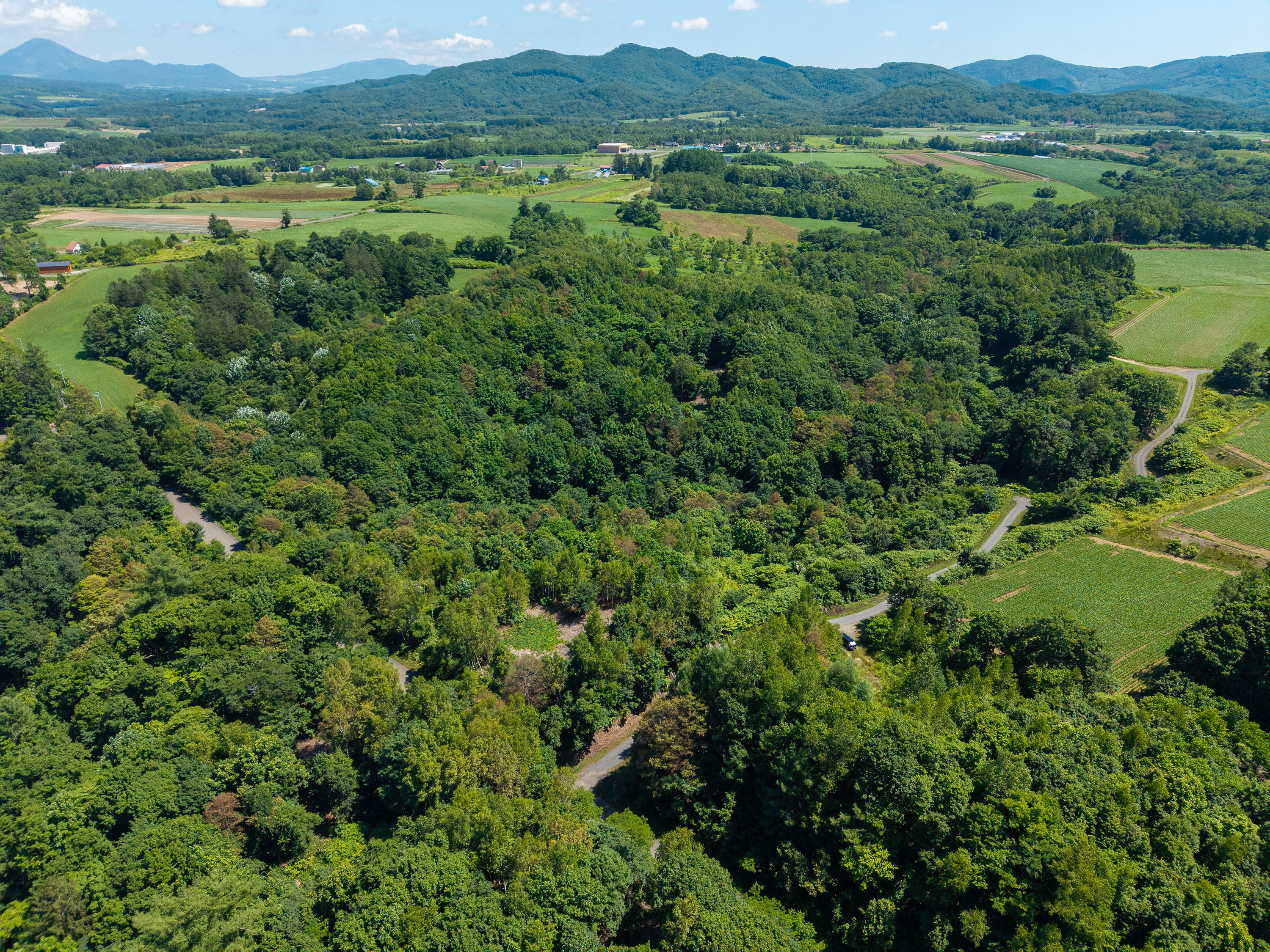 GCP 250724 151 web 3000px