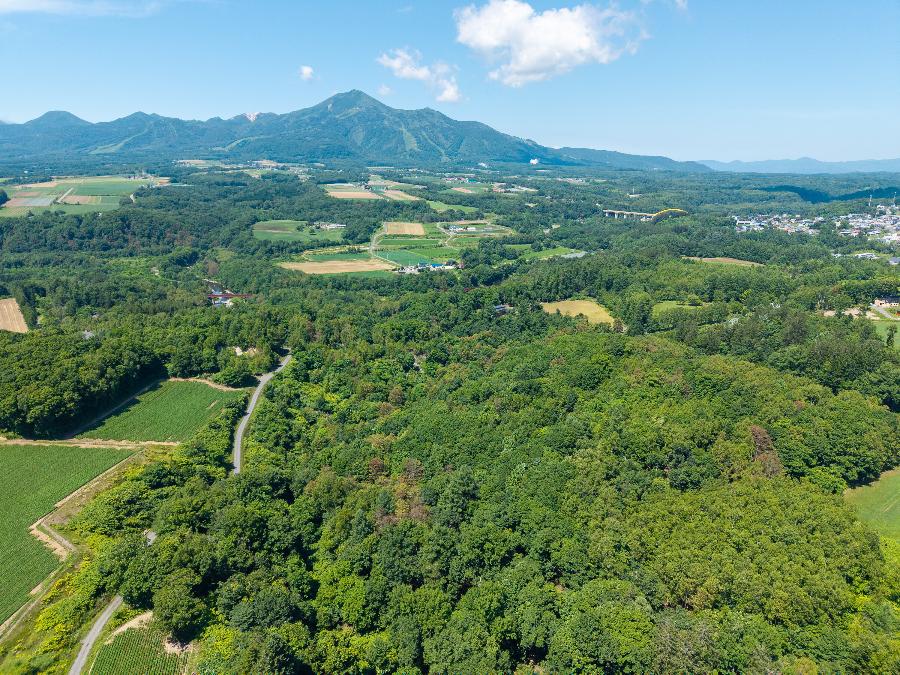 GCP 250724 163 web 3000px