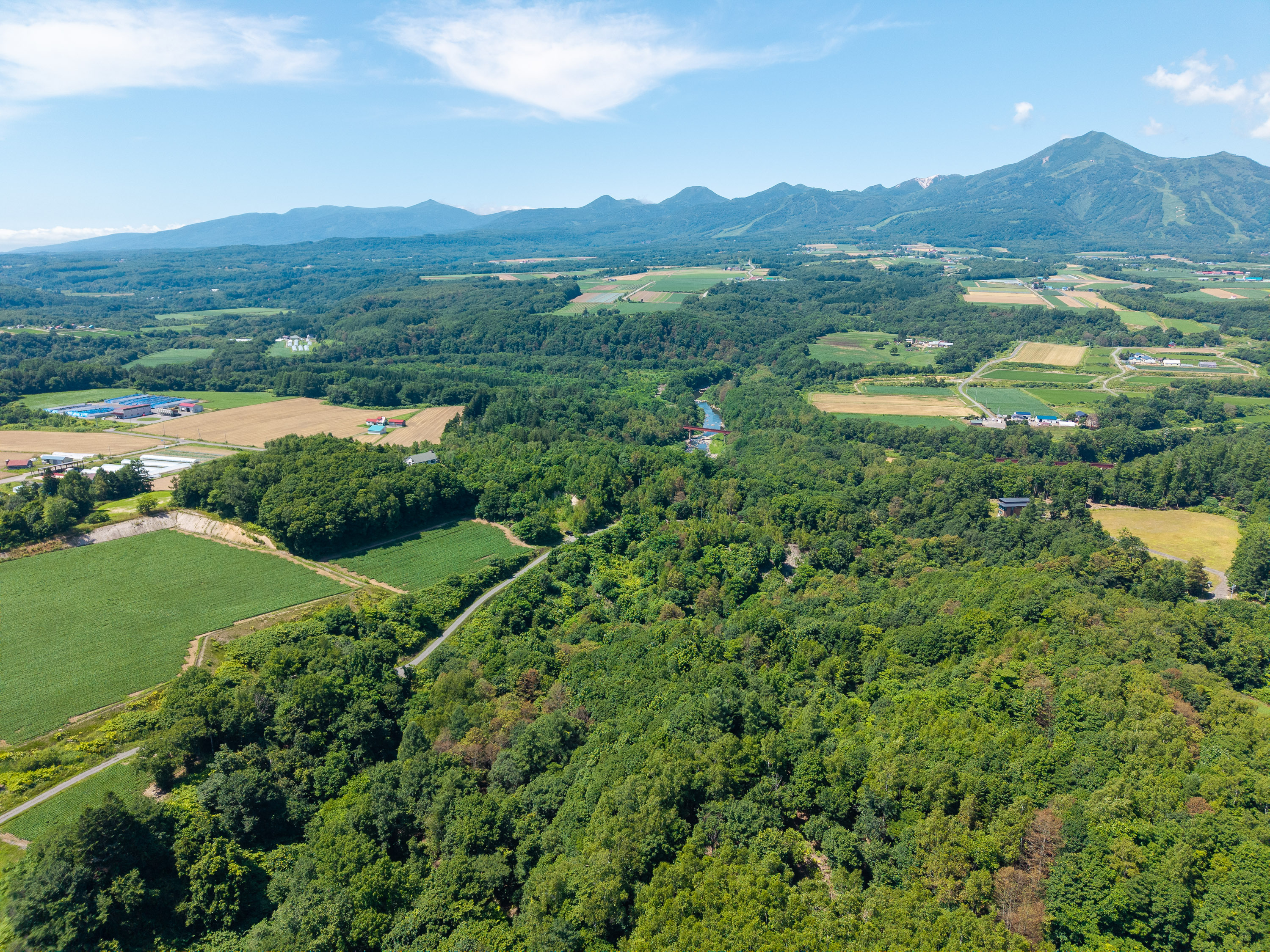 GCP 250724 166 web 3000px