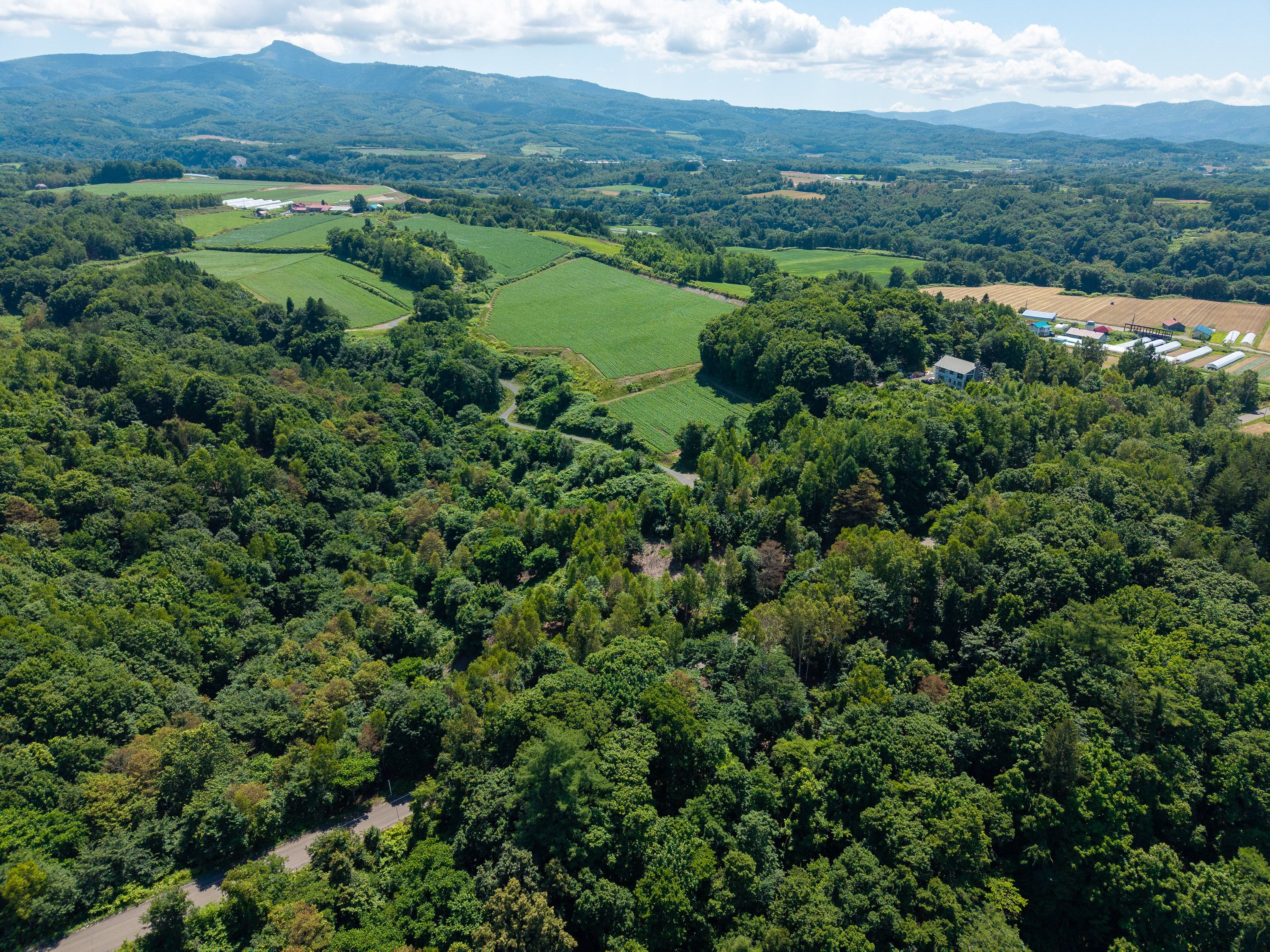 GCP 250724 179 web 3000px