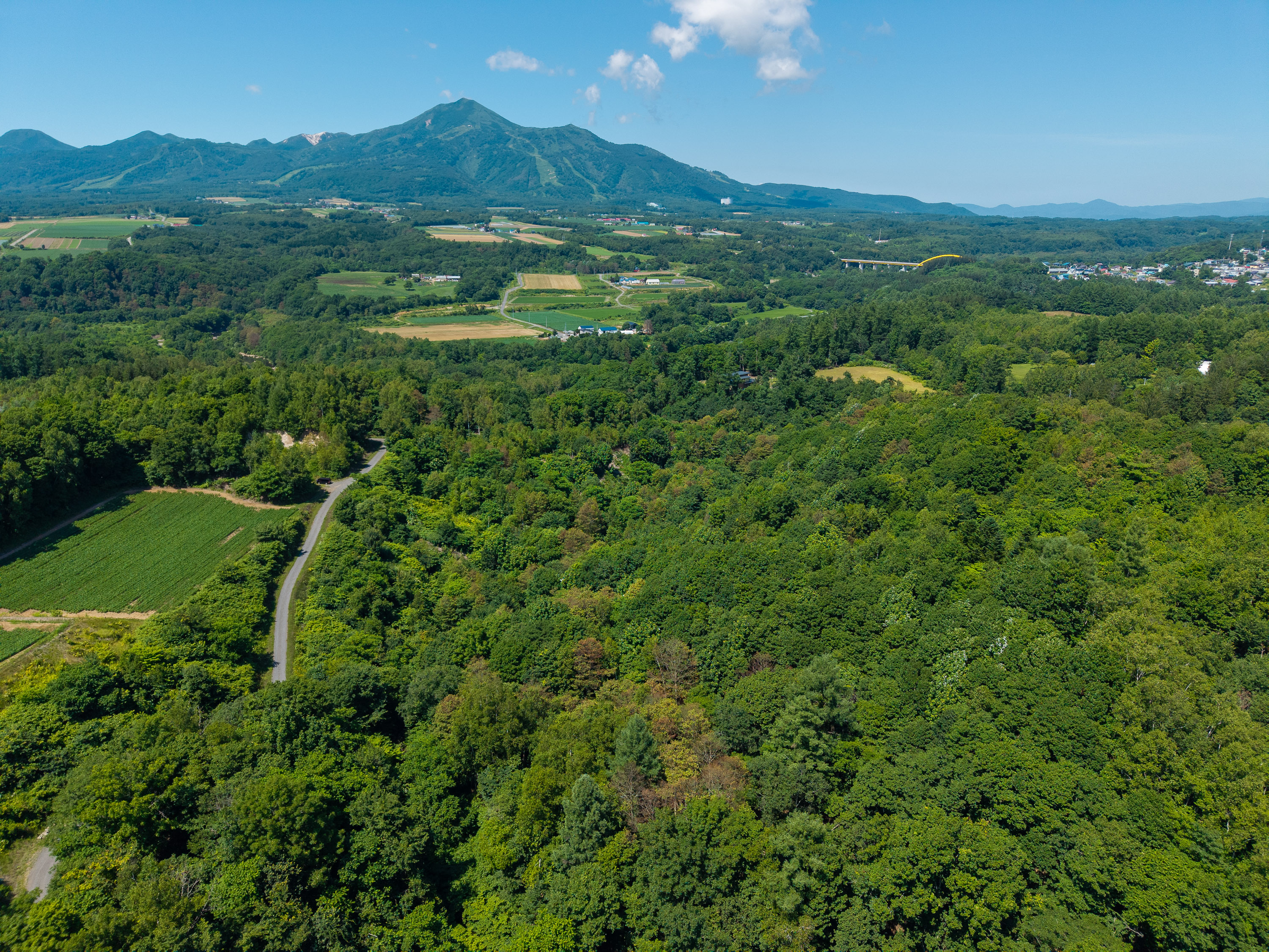 GCP 250724 209 web 3000px