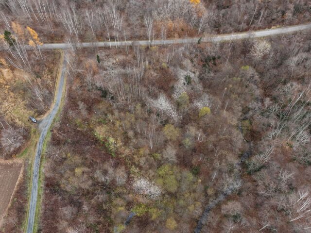 DJI 20251109101358 0054