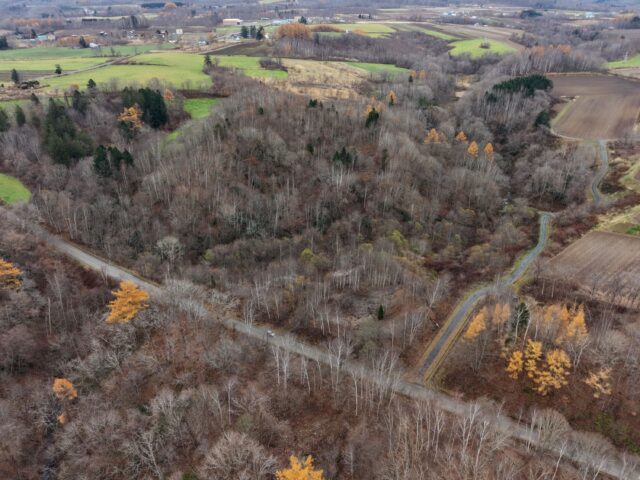 DJI 20251109102429 0076