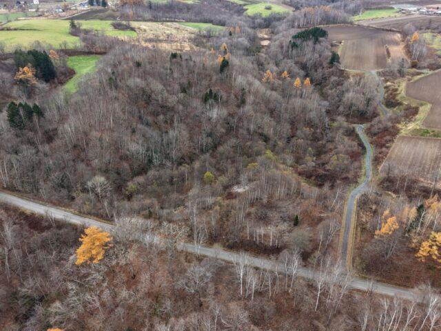 DJI 20251109102137 0071