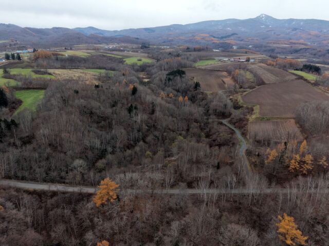 DJI 20251109100759 0043