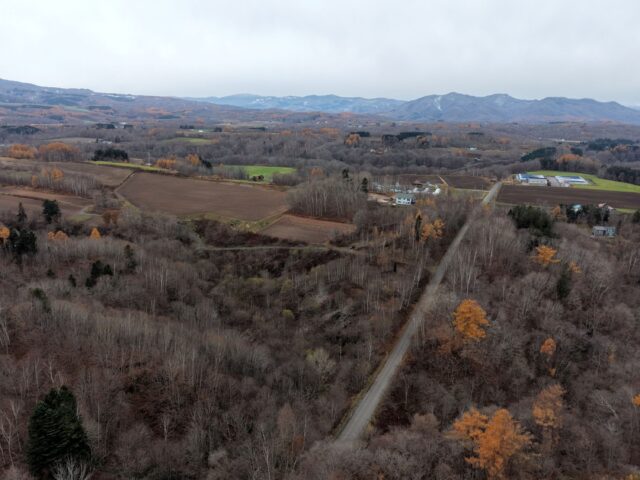 DJI 20251109100557 0039