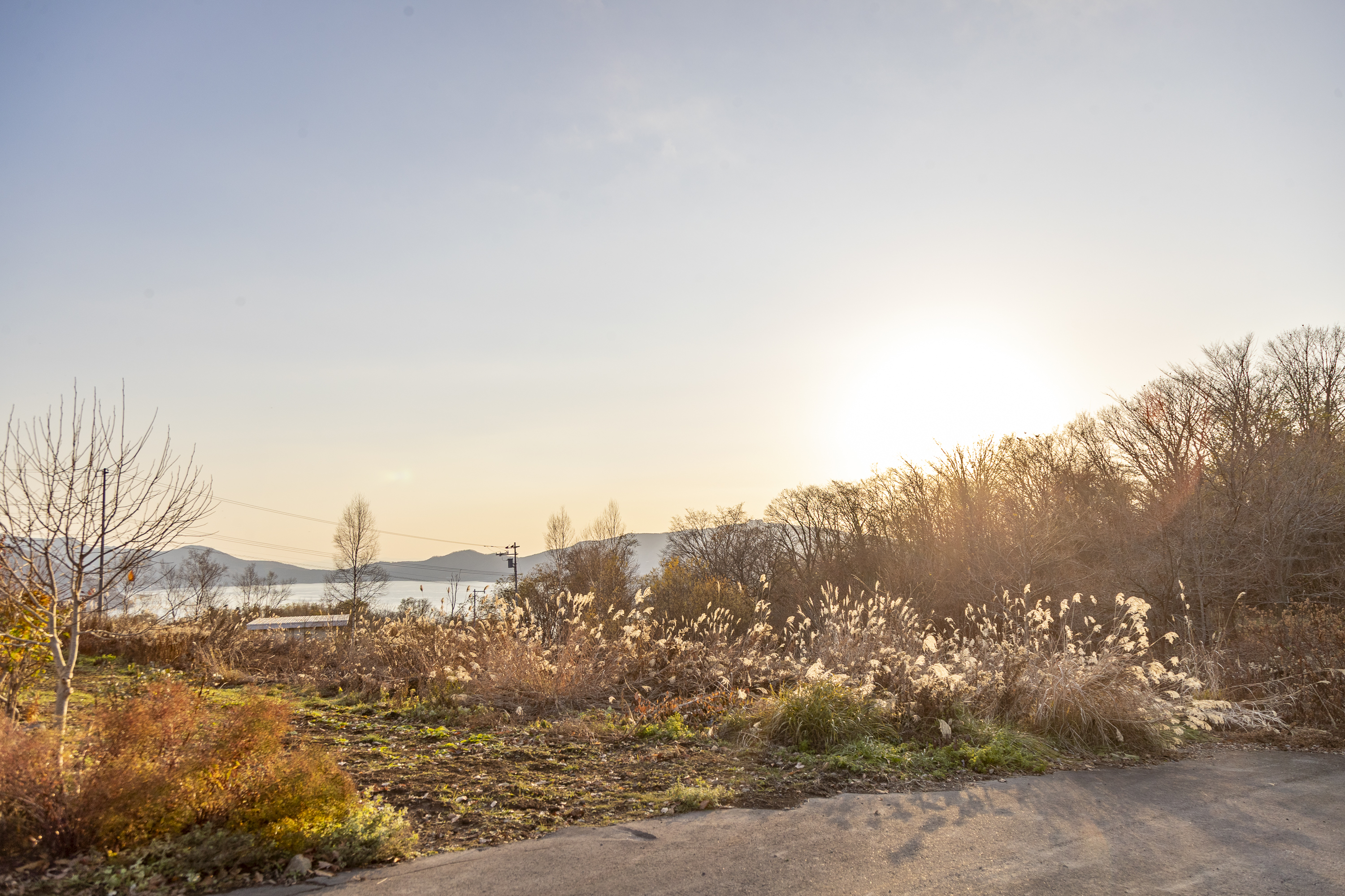 E7 I87712025 Niseko Photography DT