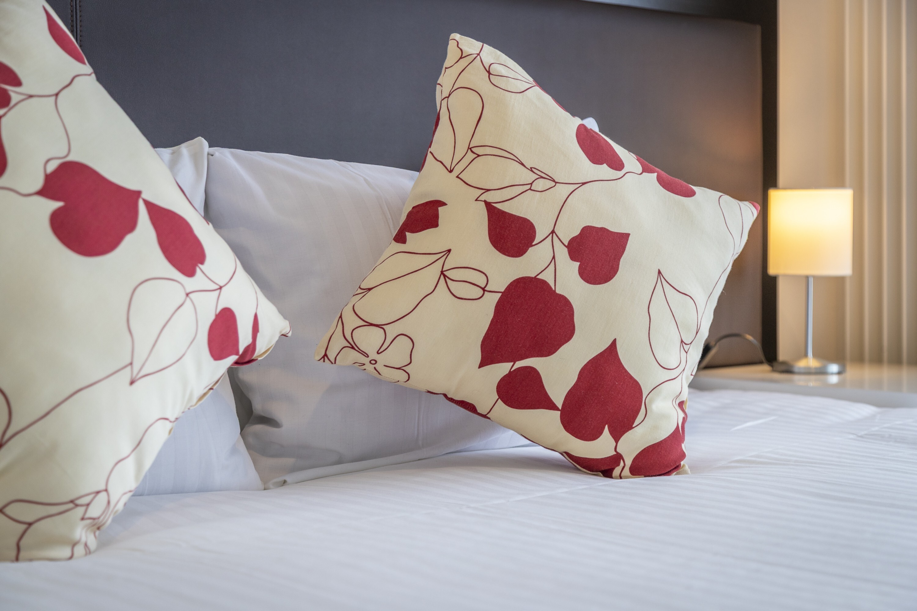 E7 I65602025 Niseko Photography DT