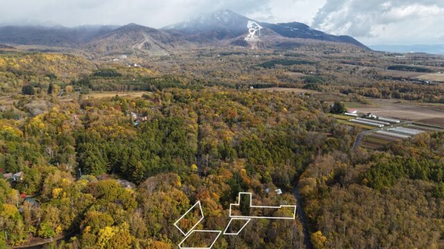 DJI 20251023094448 0276 D 1