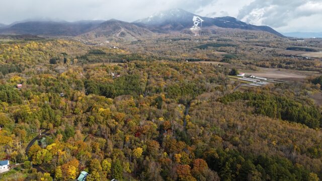 DJI 20251023094559 0280 D