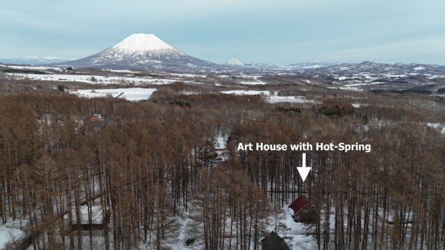 DJI 20250301163133 0059 D